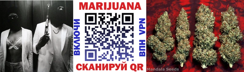 цена   Болотное  Каннабис конопля 